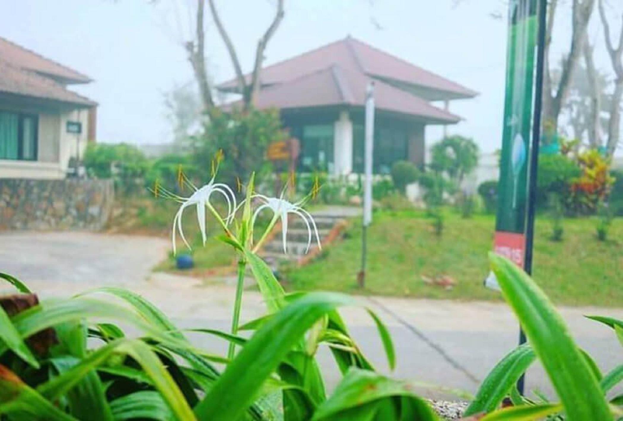 Pattaya Country Club & Resort Ban Pong  Eksteriør bilde